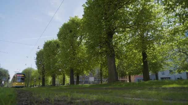 Sveç Norrkoping Kentinin Ağaçlık Caddesinde Uzanan Sarı Yeşil Tramvayın Alçak — Stok video