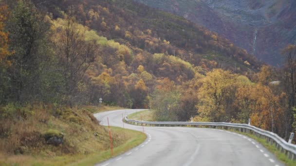 Sonbahar Manzarası Boyunca Dar Bir Kırsal Yol Gider Yavaş Çekim — Stok video