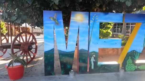 Oaxaca Daki Mezcal Harfleri Soldan Sağa — Stok video