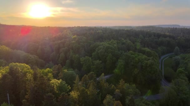 Воздушное Открытие Пешеходного Моста Через Дорогу Лесу Закате — стоковое видео