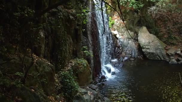 Cinematic View Waterfall Lush Forest Area Pan Right Panoramic View — Vídeo de Stock