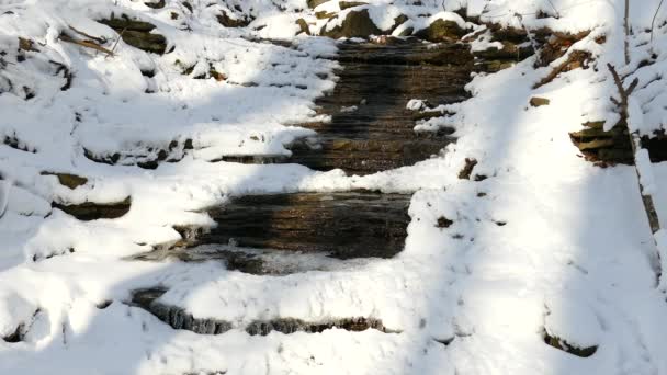 Small Semi Frozen Waterfalls Snow Them — Stock Video