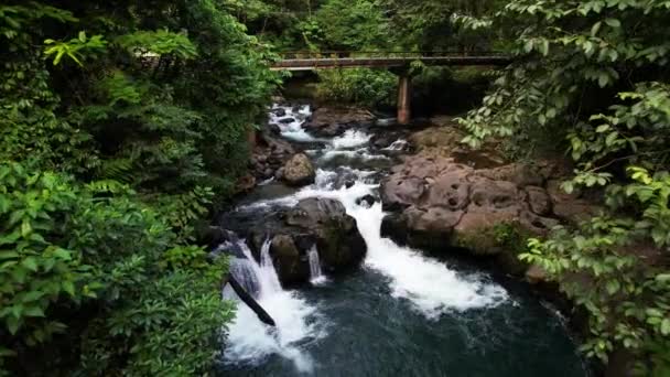 Wild River Flowing Tropical Forest Bridge Vehicles Cross — Vídeo de Stock