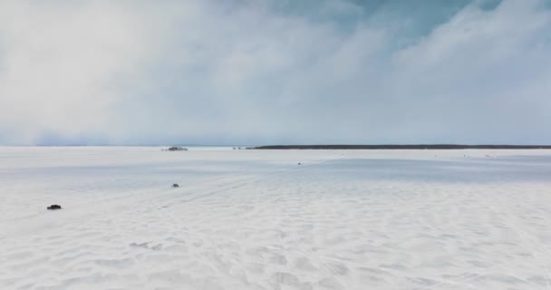 Αυτοκίνητα Οδήγηση Στην Παγωμένη Λίμνη Στον Καναδά Drone Κοντά Στο — Αρχείο Βίντεο