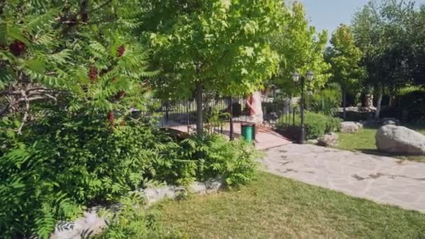 Vrouw Zomer Draagt Wandelingen Voetpad Brug Park Gebied — Stockvideo