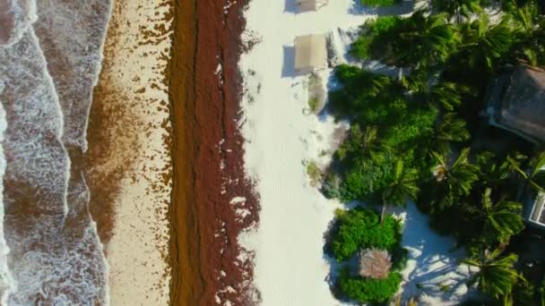 Aerial Drone View Sandy Mexican Beach Small Waves Breaking Shore — Vídeos de Stock