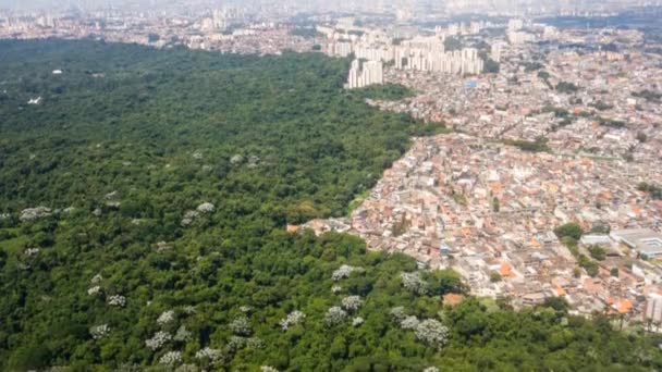 Luftaufnahme Über Das Stadtbild Von Sao Paulo Gebäude Die Den — Stockvideo