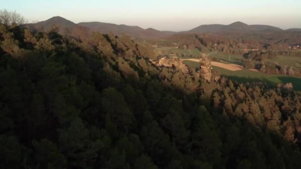 Drone Flygning Över Skog Geiersteine Tyskland — Stockvideo