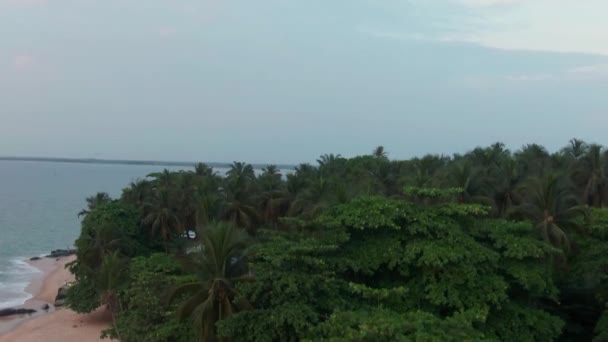 Beautiful Beach Robertsport Liberia — Video Stock