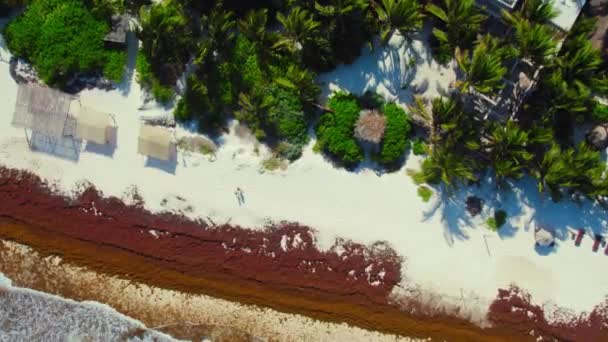 Drone Beelden Van White Sandy Beach Tulum Mexico Van Luxe — Stockvideo