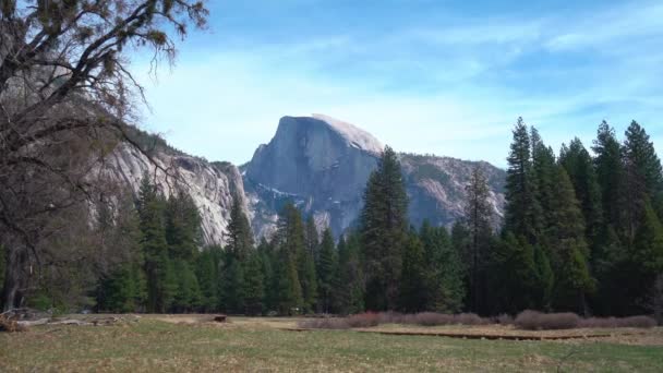 Zdjęcia Panoramiczne Pięknego Pasma Górskiego Drzew Leśnych Parku Narodowym Yosemite — Wideo stockowe