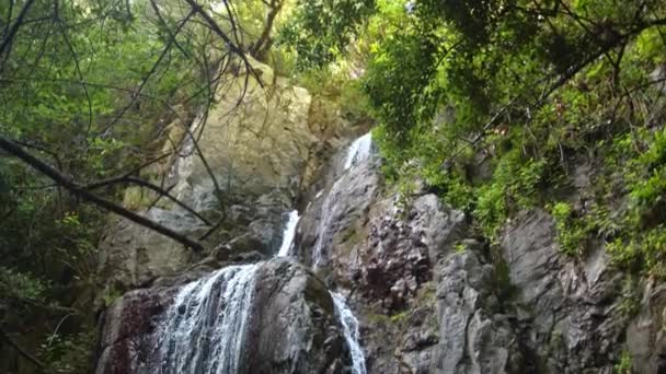 Waterfall Stream Falling Rocky Cliff Lush Forest Top Tilt View — Vídeos de Stock