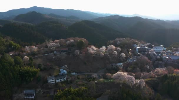 Yoshino Sakura Mountain Nara Japan Sunset Mountain Spring — Stock video