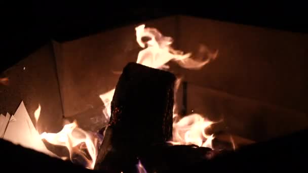 Holzverbrennung Einem Hinterhof Oder Einer Feuerstelle Auf Einem Zeltplatz Zeitlupe — Stockvideo