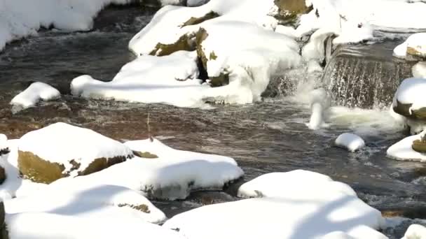 Panning Right Niagara Escarpment Completely Frozen Snow Covered Logs Side — Vídeo de stock