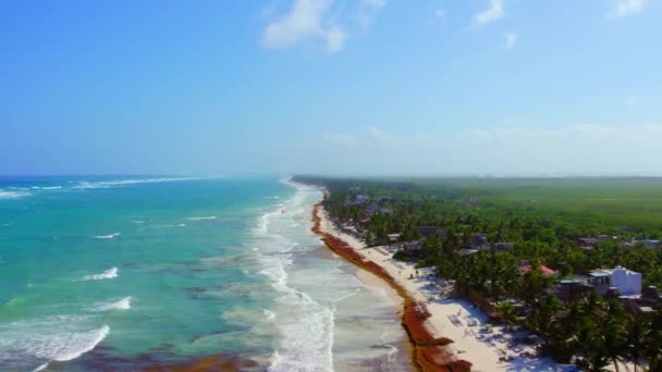 Drone View Beautiful Tulum Mexico Beachfront Turquoise Water Lush Green — 비디오