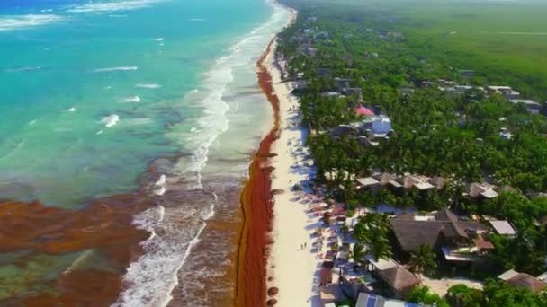 Vackra Vibrerande Tulum Mexiko Beach Kustlinje Med Turkost Vatten Och — Stockvideo