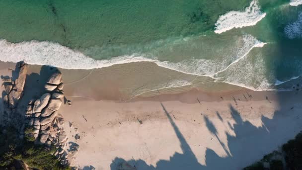 Sandy Shoreline Llandudno Beach Cape Town South Africa Aerial Shot — 비디오