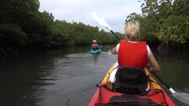 Toeristen Kajakken Mangrove Bos Andaman Eilanden India — Stockvideo