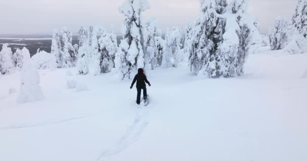 Aerial View Person Arriving Viewpoint Snowy Forests Riisitunturi National Park — Video Stock