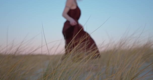 Femme Portant Une Robe Marchant Sur Les Dunes Sable Avec — Video