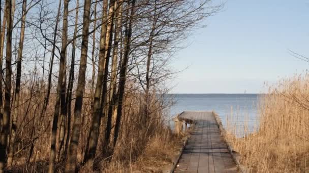 Holzsteg Der Mit Einem Tollen Blick Auf Den See Endet — Stockvideo