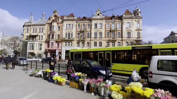 Flower Sellers Street Lviv Ukraine — Stock Video