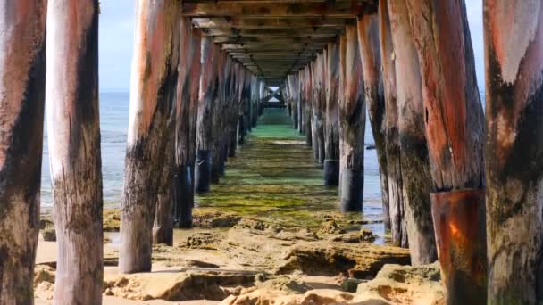 Slow Motion Historic Wooden Jetty Pier Structure — Stockvideo
