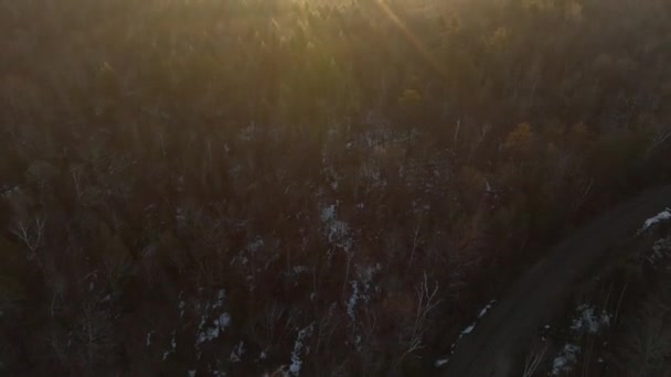 Rising Sunlight Shine Dense Woodland Maine — Vídeo de Stock