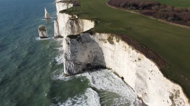 Old Harry Rocks Cove Reveal — стоковое видео