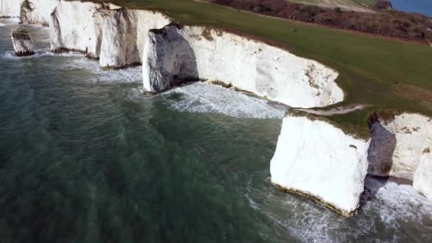 Old Harry Rocks Tilt Pan Reveal — Stockvideo