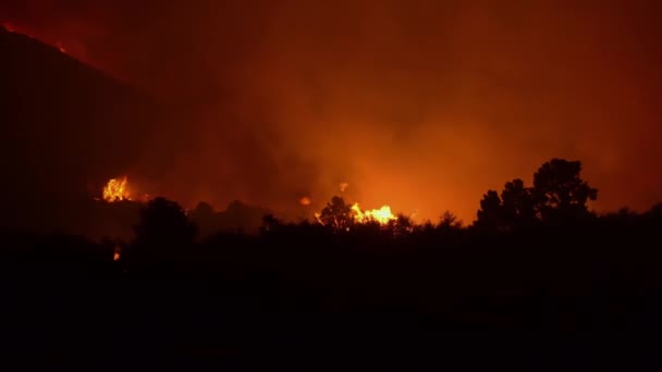 Fuego Ardiente Del Bosque Pintando Cielo Rojo Oscuridad Nocturna Vista — Vídeos de Stock