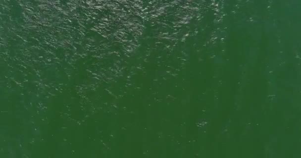 南非开普敦泻湖海滩一名划艇人士的鸟瞰图 — 图库视频影像