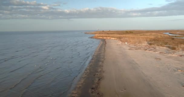 Aerial View Beach Area Galveston Island Texas — Vídeo de stock