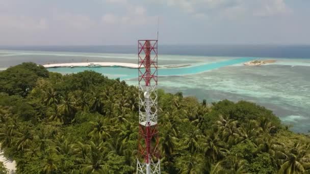 High Cell Tower Stands Town Ocean Surrounded Green Trees Beautiful — стоковое видео