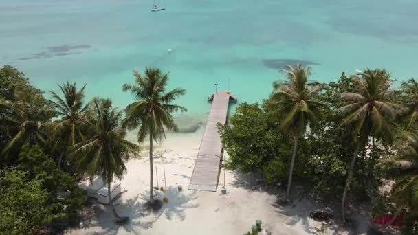 Drone Flight Turquoise Water Island Green Trees Pier Palm Trees — стоковое видео