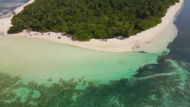 Panorama Green Maldivian Island Washed Turquoise Water All Sides Beautiful — стокове відео