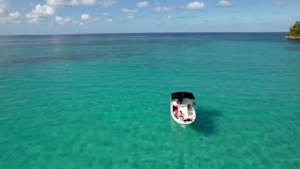 Aerial View Boat Green Tree Covered Coastline Caribbean — kuvapankkivideo