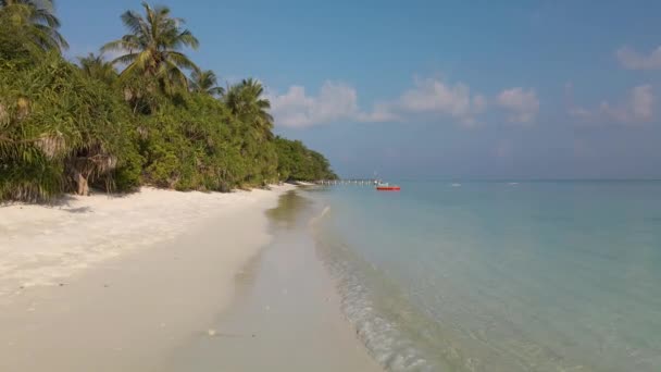 Flight Beach Coast Maldivian Island Green Trees Beautiful Water Which — Stock Video