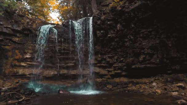 Kleine Waterval Het Een Zeer Magische Plek Omringd Door Inheemse — Stockvideo