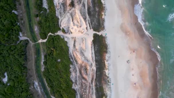 Top Aerial Pass Golden Sands Sand Dune River Novo Campeche — стокове відео