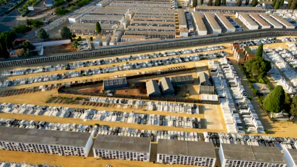 Tiro Aéreo Tumba Pico Reja Cementerio Sevillano San Fernando — Vídeo de stock