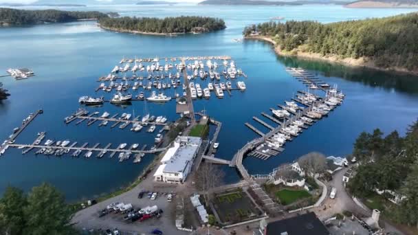 Cinematic Aerial Drone Footage Haro Strait Roche Harbor Resort Sheltered — Vídeo de stock
