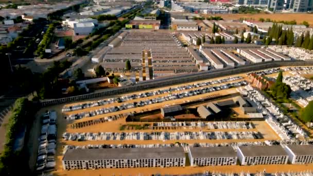 Sobrevolando Cementerio San Fernando Sevilla — Vídeo de stock