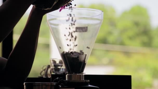 Γεμίζοντας Πλαστικό Δοχείο Της Μηχανής Φρεσκοψημένους Κόκκους Καφέ Μύλος Καφέ — Αρχείο Βίντεο