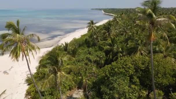 Політ Дрона Над Мальдівським Островом Одного Боку Блакитної Води Іншого — стокове відео