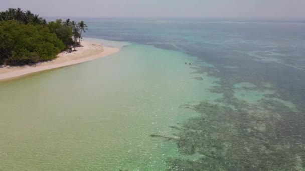 Hermoso Panorama Isla Maldivas Con Una Orilla Arenosa Agua Turquesa — Vídeo de stock