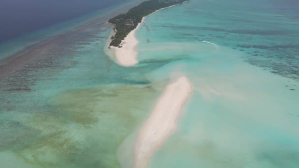 Ilha Verde Meio Água Azul Turquesa — Vídeo de Stock