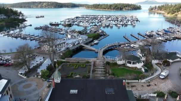 Cinematic Aerial Drone Footage Roche Harbor Resort Marina Sheltered Harbor — Video