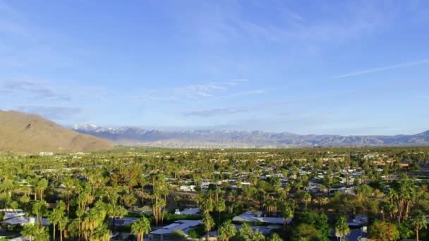 Aerial Panoramic View Palm Spring Coachella Valley California Coconut Tree — ストック動画